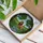 Regal Male Lion Stained Glass Tiffany Jewel Tone - Forest Landscape Nature Scene Decor Stained Glass Suncatcher - 3