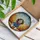 Stained Glass Tri-Color Beagle Puppy Red Bandana Blue Jacket Tiffany Style Intricate Mosaic Art Stained Glass Suncatcher - 3