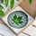 Tiffany Style Stained Glass Maple Leaf Mosaic - High Contrast Intricate Pattern Jewel Tones Stained Glass Suncatcher - 3