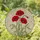 Red Poppy Flowers Stained Glass Mosaic Art - Tiffany Style Glowing Jewel Tone Floral Stained Glass Suncatcher - 1
