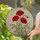 Red Poppy Flowers Stained Glass Mosaic Art - Tiffany Style Glowing Jewel Tone Floral Stained Glass Suncatcher - 2