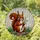 Tiffany Style Stained Glass Squirrel Holding Star - Nature Wildlife Present Home Decor Stained Glass Suncatcher - 1