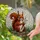 Tiffany Style Stained Glass Squirrel Holding Star - Nature Wildlife Present Home Decor Stained Glass Suncatcher - 2