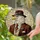 Bald Eagle Fedora Suit Stained Glass Mosaic Art - Elegant Gentleman Wildlife Home Decor Stained Glass Suncatcher - 2