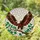 Bald Eagle Spread Wings Stained Glass Art - Tiffany Style Jewel Tone Mosaic Tree Decor Stained Glass Suncatcher - 1