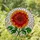 Dahlia Flower Stained Glass Tiffany Style Mosaic - Fiery Orange Red Green Jewel Tones Stained Glass Suncatcher - 1