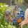 Majestic Wolf Fire Sun Stained Glass Mosaic Art - Intricate Wildlife Nature Decor Stained Glass Suncatcher - 2