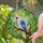 White Cockatoo Stained Glass Tiffany Style Jungle Canopy Art Window Decor Housewarming Gift Stained Glass Suncatcher - 2