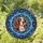 Springer Spaniel Dog Stained Glass Tiffany Style Ornate Amber Eyes Mosaic Intricate Stained Glass Suncatcher - 1