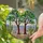 Desert Trees Saguaro Cactus Succulents Stained Glass Tiffany Desert Landscape Stained Glass Suncatcher - 2