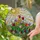 Colorful Intricate Tulips Spring Garden Tiffany-Style Stained Glass Mosaic Sun Landscape Stained Glass Suncatcher - 2