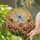 Intricate Blue Dragonfly Stained Glass Art with Flowering Plants & Golden Mosaic Stained Glass Suncatcher - 2