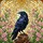 Black Raven Pink Flowers Stained Glass Luminous Sky - Iridescent Tiffany Style Wall Art Stained Glass Suncatcher - 5