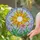 Intricate Tiffany Stained Glass Sun & Flowers Garden Mosaic - Glowing Jewel Tone Decor Stained Glass Suncatcher - 2