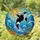 Black White Orca Whale Leaping Sun - Tiffany Stained Glass Ocean Waves Coral Art Stained Glass Suncatcher - 1