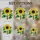 Tiffany Style Stained Glass Sunflower Bird Black White Yellow - Green Leaves Mosaic Decor Stained Glass Suncatcher - 4
