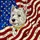 West Highland White Terrier American Flag Stained Glass Art - Patriotic Independence Day Gift Stained Glass Suncatcher - 5
