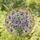 Lush Naturalistic Pansy Flowers Bouquet Stained Glass - Tiffany Style Jewel Tones Mosaic Stained Glass Suncatcher - 1