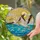 White Pelicans Ocean Waves Golden Sun Translucent Jewel Tones Tiffany Glass Window Decor Stained Glass Suncatcher - 2