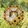 Calico Cat Head Sunflowers Stained Glass Tiffany Style Personalized Gift Nathan Stained Glass Suncatcher - 1