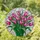Colorful Blooming Tulips Stained Glass Mosaic - Tiffany Style Jewel Tone Floral Window Decor Stained Glass Suncatcher - 1