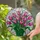 Colorful Blooming Tulips Stained Glass Mosaic - Tiffany Style Jewel Tone Floral Window Decor Stained Glass Suncatcher - 2