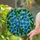 Glowing Blue Flowers Green Leaves Tiffany Style Stained Glass Art Jewel Tone Mosaic Stained Glass Suncatcher - 2