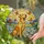 Golden Labrador Retriever Dog Stained Glass with Orange Butterflies & White Daisies Stained Glass Suncatcher - 2