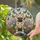 Fawn French Bulldog 'Coca' Stained Glass Butterfly Daisy Tulips Art Home Decor Gift Stained Glass Suncatcher - 2