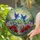 Bluebirds Stained Glass Garden Art - Tiffany Style Poppies & Lavender Floral Gift Stained Glass Suncatcher - 2