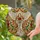 Angel Poinsettia Flower (Ruby Red, Emerald Green) Tiffany Style Translucent Stained Glass Art Stained Glass Suncatcher - 2
