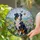 Tri-Color Australian Shepherd Dog Tiffany Stained Glass Flowers Butterflies Mosaic Hills Stained Glass Suncatcher - 2
