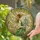 Profile Leaf Wing Bun Hair Fairy Lily of Valley Tiffany Style Floral Mosaic Stained Glass Suncatcher - 2
