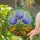 Stained Glass Hydrangea Flowers Variegated Leaves - Tiffany Style Art Decor Gift Stained Glass Suncatcher - 2