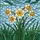 Daffodil Stained Glass Mosaic Art - Tiffany Style Blossoms & Sky Blue Green Mosaic Stained Glass Suncatcher - 5