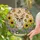 Chihuahua Coco Dog Stained Glass Butterflies Sunflowers Tiffany Style Art Mosaic Sky Stained Glass Suncatcher - 2