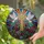 Stained Glass Golden Cross White Doves & Floral Mosaic - Crimson Purple Teal Jewel Tones Stained Glass Suncatcher - 2