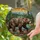 Majestic Grizzly Bear Stained Glass Tiffany Art - Mountain River Pine Forest Stained Glass Suncatcher - 2