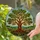 Majestic Gnarled Oak Tree Stained Glass - Rolling Hills Sky Tiffany Style Nature Artwork Stained Glass Suncatcher - 2