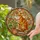 Tiffany Style Stained Glass Orange Tabby Cat with Plant & Books - Cat Lover Gift Stained Glass Suncatcher - 2