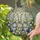 Three Patchwork Bunny Rabbits Easter Eggs Spring Flowers Stained Glass Garden Decor Stained Glass Suncatcher - 2