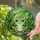 Green Frog Stained Glass Art with Water Droplets, Lush Foliage & Rippling Water Stained Glass Suncatcher - 2