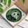 Serene Panda Bear Stained Glass Art - Lush Bamboo Forest Jewel Tone Intricate Design Stained Glass Suncatcher - 3