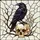 Black Raven Skull Stained Glass Tiffany Style with Barren Branches Cracked Ice Mosaic Stained Glass Suncatcher - 5