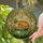 Sleeping Tabby Cat Leprechaun Hat Gold Coins Shamrocks Stained Glass - St. Patrick's Day Gift Stained Glass Suncatcher - 2