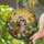 Stained Glass Shih Tzu Dog Brown Cream Fur Butterflies Flowers Hills Sky Jewel Tones Stained Glass Suncatcher - 2