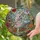 Intricate Tiffany Edge-to-Edge Stained Glass Ballet Dancer Butterflies Garden Art Stained Glass Suncatcher - 2