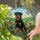 Rottweiler Dog Luna Tiffany Stained Glass - Wildflower Meadow Butterflies Art for Dog Lovers Stained Glass Suncatcher - 2