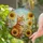 Orange Tabby Cat Green Eyes & Golden Sunflowers - Intricate Tiffany Stained Glass Mosaic Stained Glass Suncatcher - 2