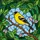 Vibrant Goldfinch Bird Tiffany Stained Glass - Intricate Nature Foliage & Pink Blooms Art Stained Glass Suncatcher - 5